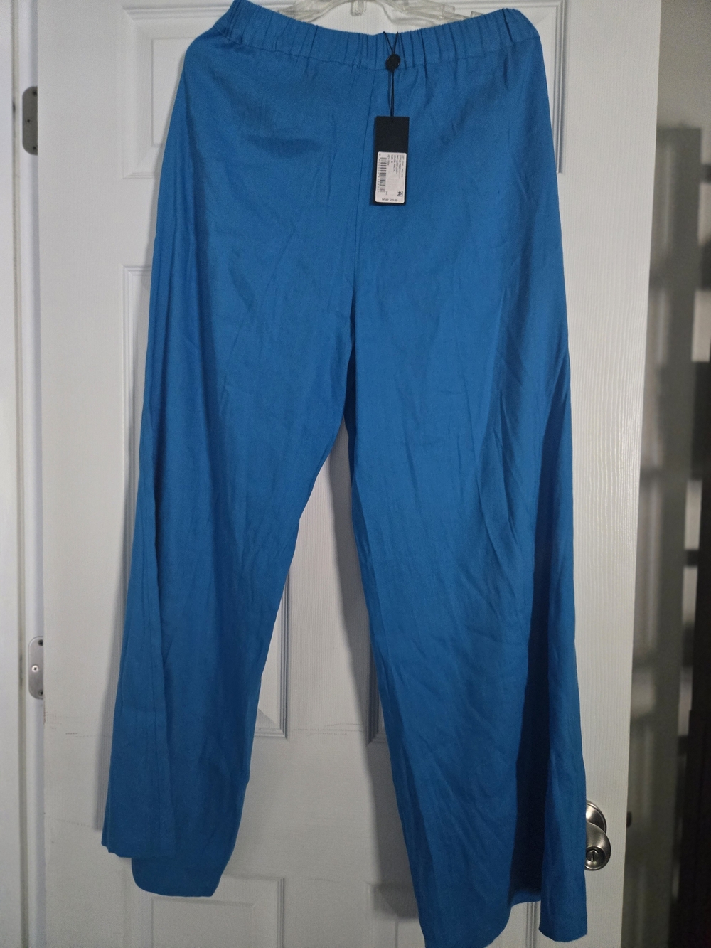Gianni Bini Wide-Leg Pants in Bright Teal - Picture 8 of 10